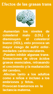 Efectos de las grasas trans